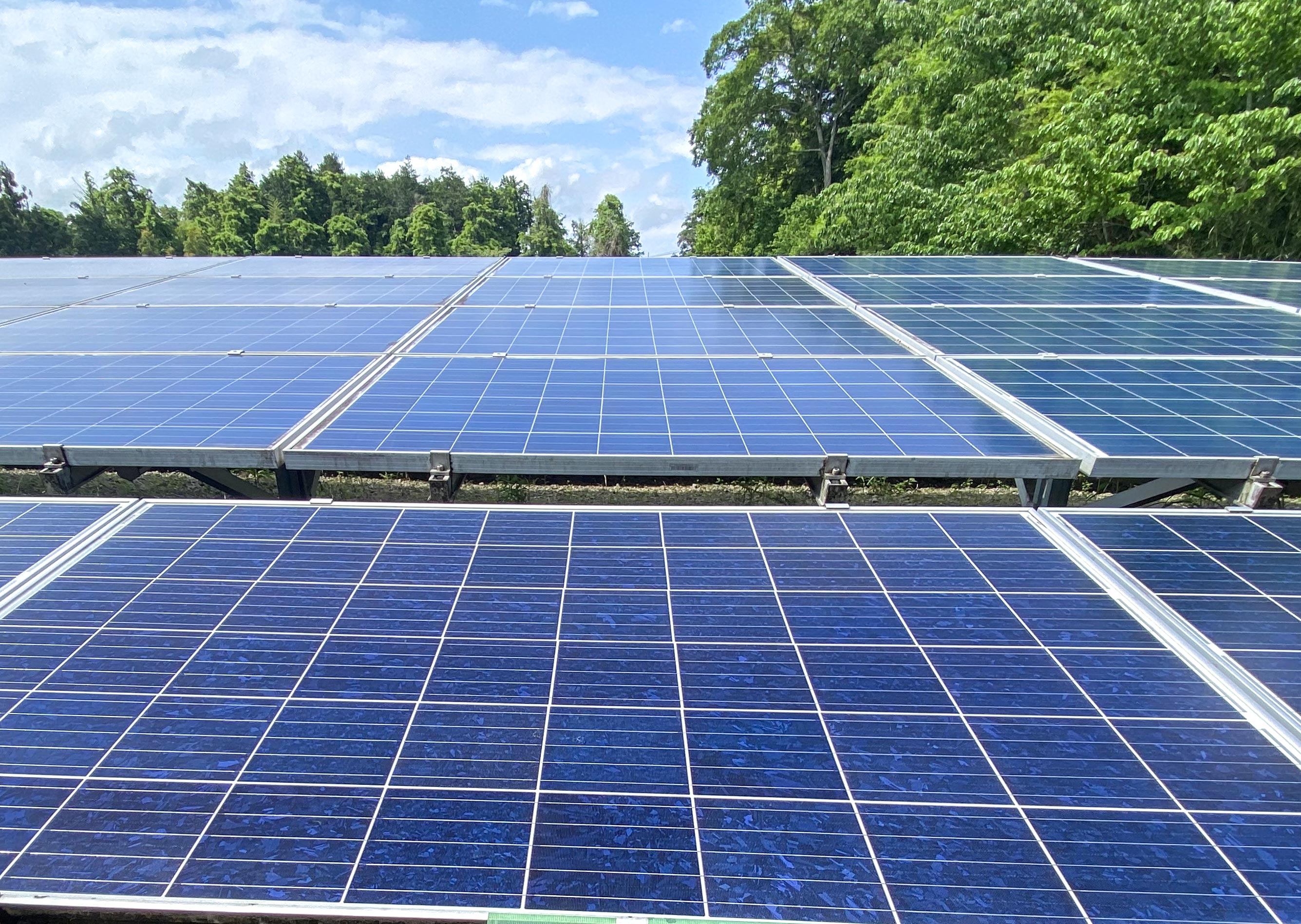 アマテラス洗浄機で洗浄後のソーラーパネル